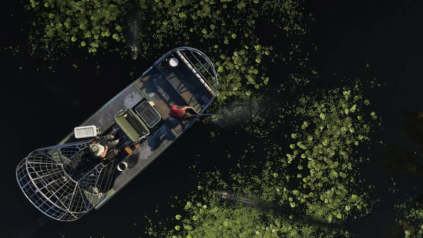 Vue aérienne en plongée d'un airboat à hélice glissant sur l'eau noire des Grassrivers de GTA VI, entouré de nénuphars verts, avec deux alligators sauvages nageant en surface de part et d'autre de l'embarcation